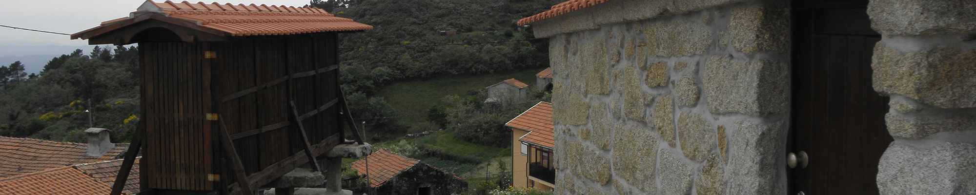 Banner 2